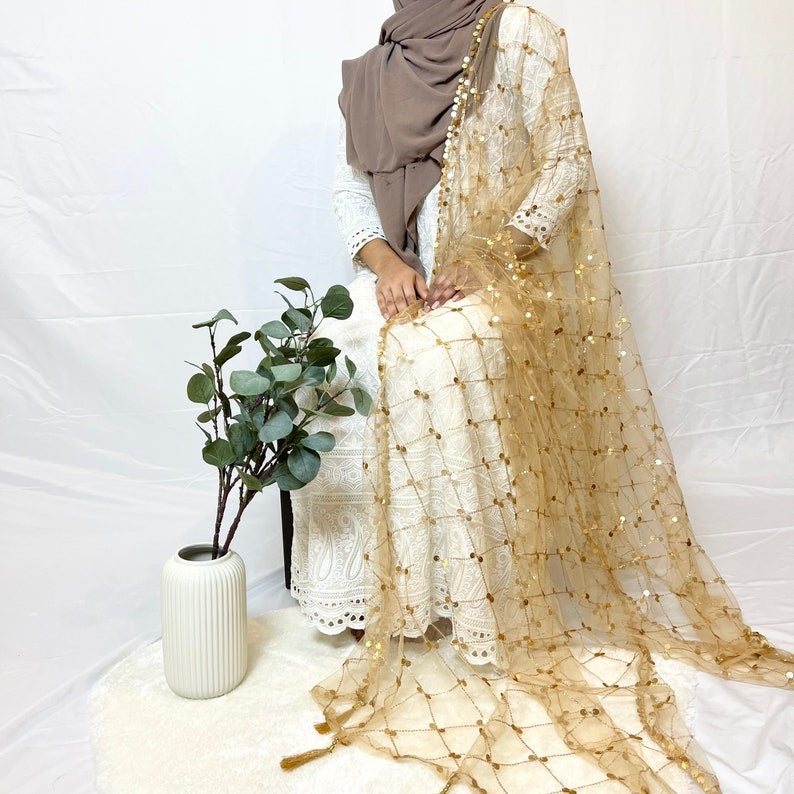 Gold Net Mirror Work (Sitara) Dupattas