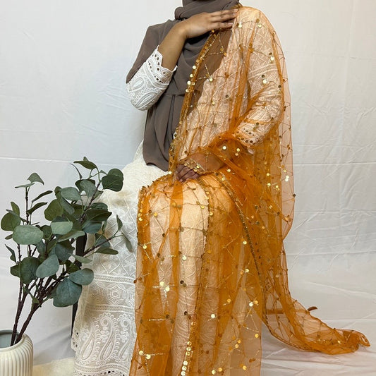 Gold Net Mirror Work (Sitara) Dupattas