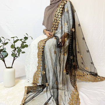Gold Net Mirror Work (Sitara) Dupattas