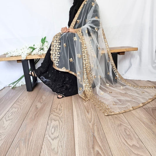 Gold Net Mirror Work (Sitara) Dupattas