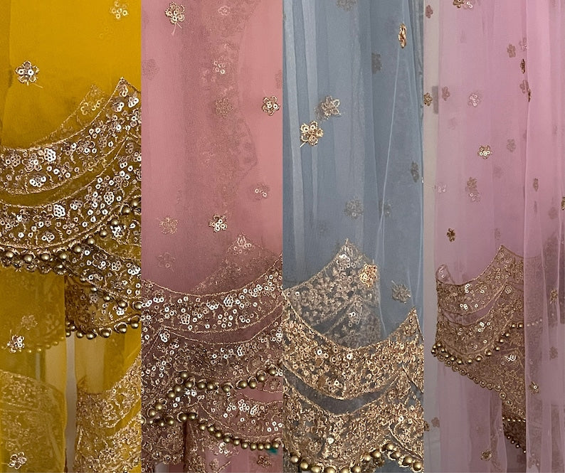 Multi Color Net Dupattas