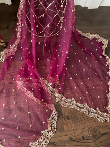 Cranberry Colour Net Dupattas