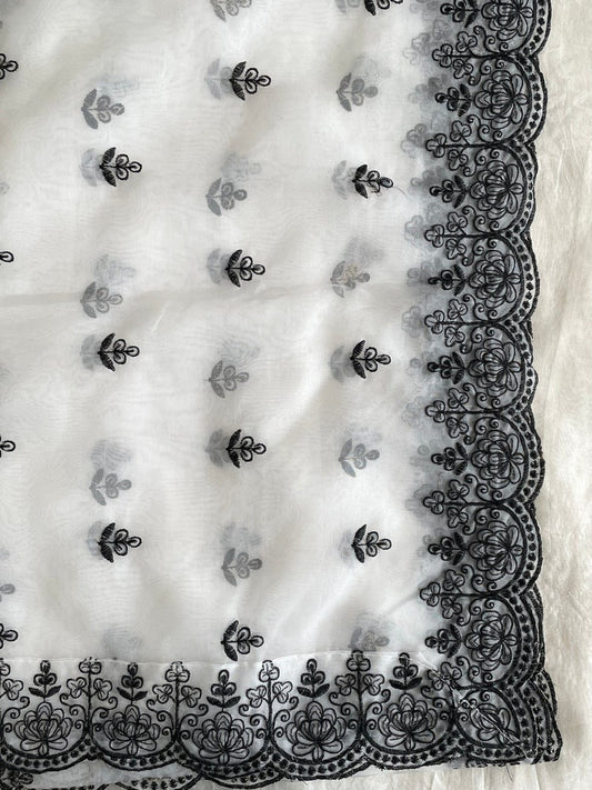 Resham Thread Embroidered Border Scarf Dupatta