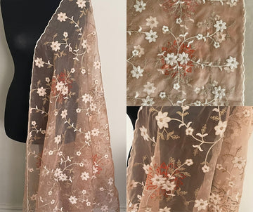 Various Designs Colour Organza Dupattas