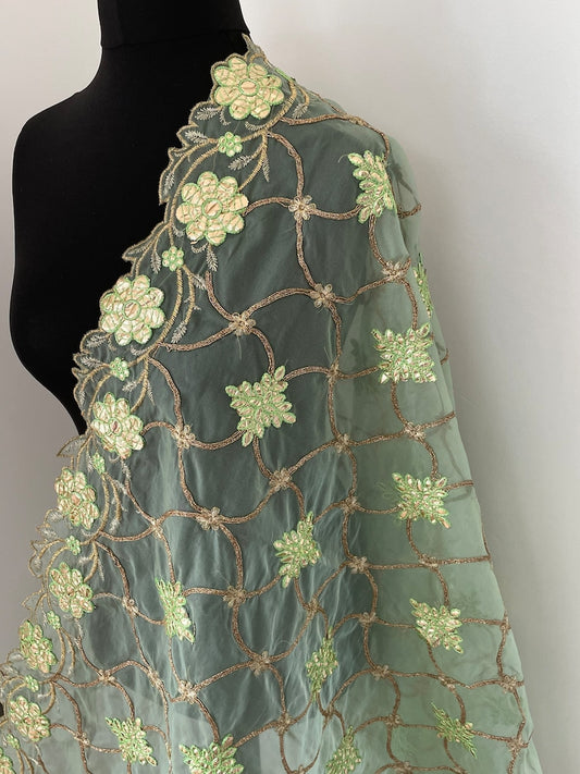 Various Designs Colour Organza Dupattas