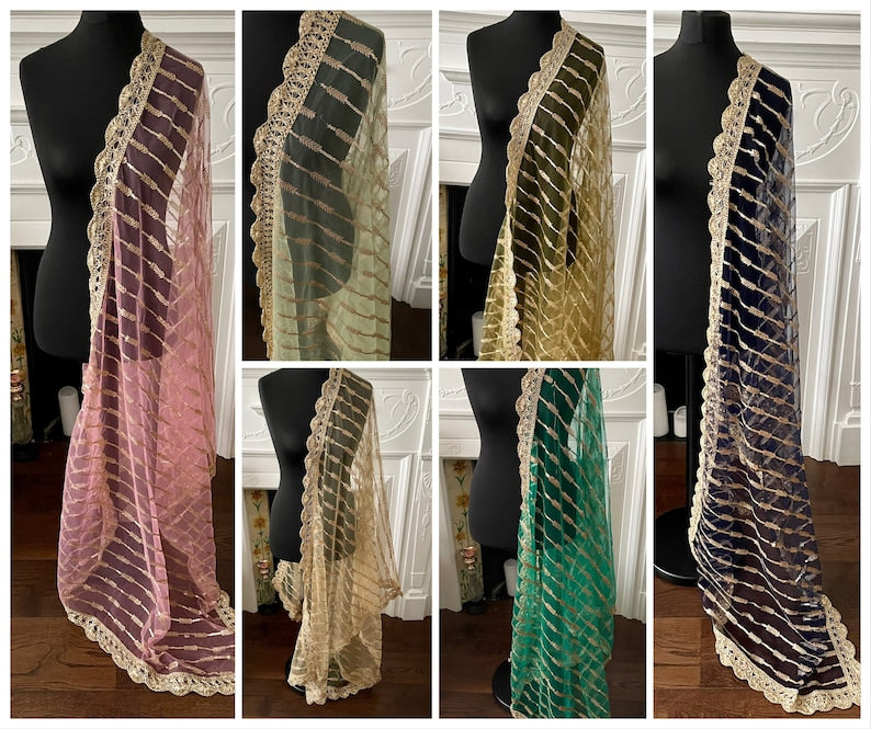 Sequins Net Dupattas
