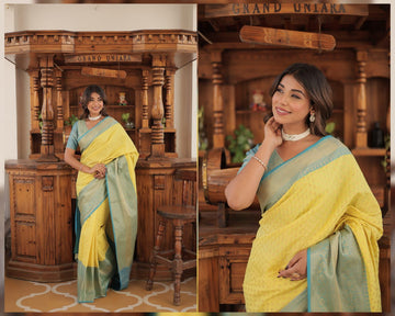 Premium designer saree