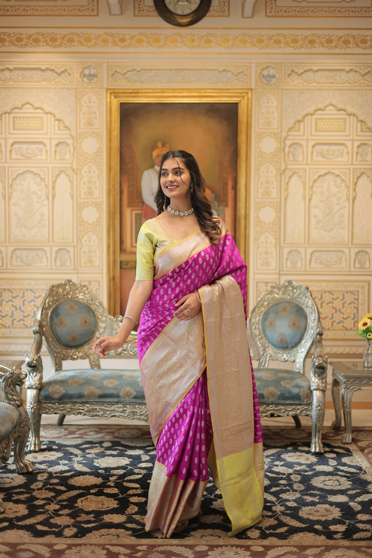 Premium designer saree